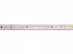 LED strip 24V 14.4W/m waterproof IP67, T shape, neutral white 6500K 115lm/W PLUS AKTO