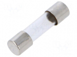 Fuse: fuse | cylindrical,glass | 10A | 125VAC | quick blow | 5x20mm | GMA
