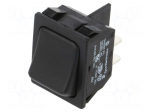 ROCKER | DPST | Pos: 2 | ON-OFF | 10A/250VAC | black | none | PR | Body: black