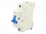 Circuit breaker | 230/400VAC | Inom: 32A | Poles: 1 | Charact: B | 10kA