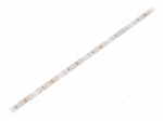 LED tape | white warm | 3528 | 12V | LED/m: 60 | 8mm | IP65 | 4.8W/m