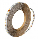 PHILIPS Master LEDstrip 4.3W940 500LM/M 5M spuldze 929002696502 8719514344365