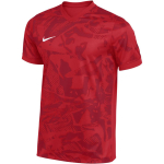 Koszulka męska Nike Dri-Fit Precision VII czerwona FZ9332 657 L