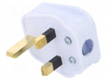 Connector: AC supply | plug | 2P+PE | 250VAC | 5A | white | PIN: 3 | angled