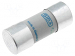 Fuse: fuse | gR | 40A | 690VAC | ceramic,cylindrical,industrial