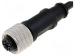 Cable: for sensors/automation | M12 | PIN: 4 | straight | 5m | plug | 4A