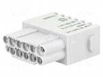 Connector: HDC | module | female | 10A | 250V | Han-Modular&reg; | PIN: 12