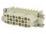 Connector: HDC | contact insert | female | 10A | 250V | Han&reg; D | PIN: 25