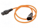 Cable | IEC C13 female,IEC C14 male | 1m | with IEC LOCK locking