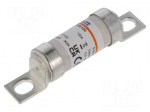 Fuse: fuse | 100A | 690VAC | aR | ceramic,cylindrical,industrial