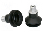 Suction cup | 33mm | G1/4 AG | Shore hardness: 55 | 4.75cm3 | FSGA