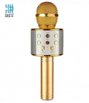 Riff WS-858 Karaoke Microphone with Speakers AUX and Micro SD Gold