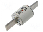 Fuse: fuse | 40A | 500VAC | gG | industrial | NHg