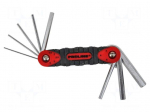 Wrench: hex key-set | Chrom-vanadium steel | 8pcs.