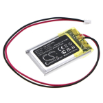 250mAh for INT RASTER Memory Backup