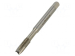 Tap | M8 | 1.25 | L: 90mm | Holder: square,machine | 6.2mm