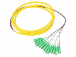 Optic fiber pigtail | SC/APC,fiber | 2m | Input: fiber x12