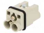 Connector: HDC | contact insert | male | 40A | 400V | Han Q | PIN: 3 | 2P+PE