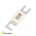 Kaitsme:kaitse | 300A | 48VDC | auto, ribakaitse | 177.5701.0002