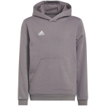 adidas Entrada 22 Hoody grey H57515 128cm