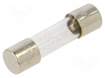 Fuse: fuse | 500mA | 250VAC | quick blow | ceramic,cylindrical | 5x20mm