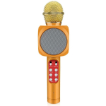 Riff WS-1816 16W karaoke BT microphone with LED 360 Gold