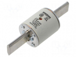 Fuse: fuse | 75A | 500VAC | gG | industrial | NHg
