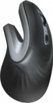 Computer mouse Trust Verro Ergonomic Black