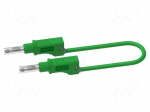 Test lead | 20A | banana plug 4mm,both sides | Urated: 600V | Len: 1m