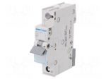 Circuit breaker | 230/400VAC | Inom: 10A | Poles: 1 | Charact: C | 6kA