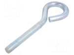 Hook | ring | steel | zinc | Thread len: 110mm | Overall len: 210mm