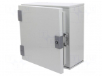 Enclosure: wall mounting | X: 300mm | Y: 300mm | Z: 160mm | orion+ | steel