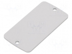 Front panel | aluminium | W: 30.8mm | L: 59.9mm | Thk: 2mm