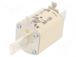 Fuse: fuse | 224A | 500VAC | gG | ceramic,industrial | NH1 | WT-NH