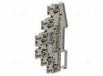 Splice terminal: rail | ST | spring clamp | grey | 31A | polyamide | TS35