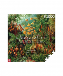 Imagination Puzzle: Ernst Haeckel Muscinae 1000 elements