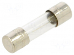 Fuse: fuse | 250mA | 250VAC | time-lag | cylindrical,glass | 5x20mm