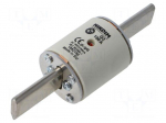 Fuse: fuse | 150A | 500VAC | gG | industrial | NHg