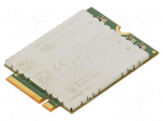 Module: LTE | 4G | Down: 600Mbps | Up: 150Mbps | M.2 | HSPA+,LTE CAT12