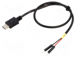 Cable | USB C plug,1pin pin header x2 | 0.3m | black | 22AWG