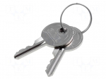Safety switch accessories: spare keys | Series: FS