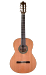 Prodipe Guitars Recital 300 - gitara klasyczna