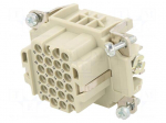 Connector: HDC | contact insert | female | 10A | 250V | PIN: 24 | 24+PE