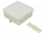 Enclosure: junction box | X: 100mm | Y: 100mm | Z: 40mm | polyetylene