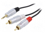 Cable | Jack 3.5mm 3pin plug,RCA plug x2 | 3m | black | PVC