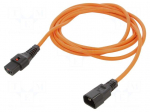 Cable | IEC C13 female,IEC C14 male | 3m | with IEC LOCK locking