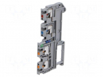 Splice terminal: rail | 13.5A | 250V | for DIN rail mounting | grey
