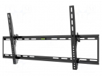 LCD/LED holder | black | tiltable | 75kg
