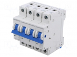 Circuit breaker | 230/400VAC | Inom: 10A | Poles: 1+N | Charact: C | 10kA