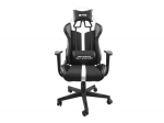 FURY Avenger XL Universal gaming chair Padded seat Black, White